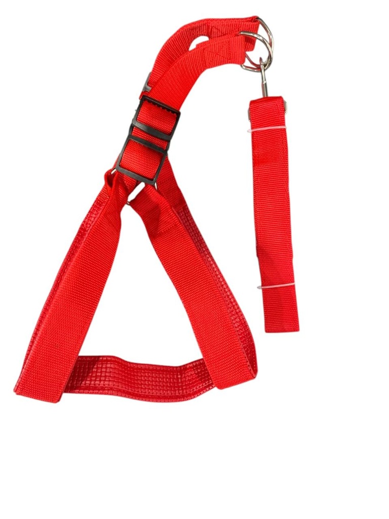 PECHERA  PARA PERRO VARIOS COLORES 2.5 CM