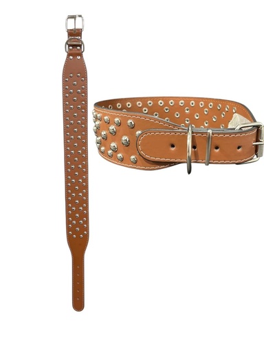 [MAPS00010] COLLAR PARA PERRO PELOTITA 6 CM X 67CM